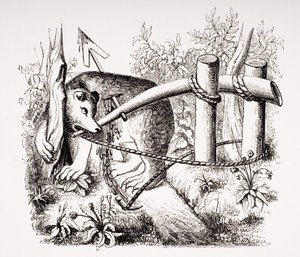 Comment attraper des ours et autres bêtes avec une fléchette, d